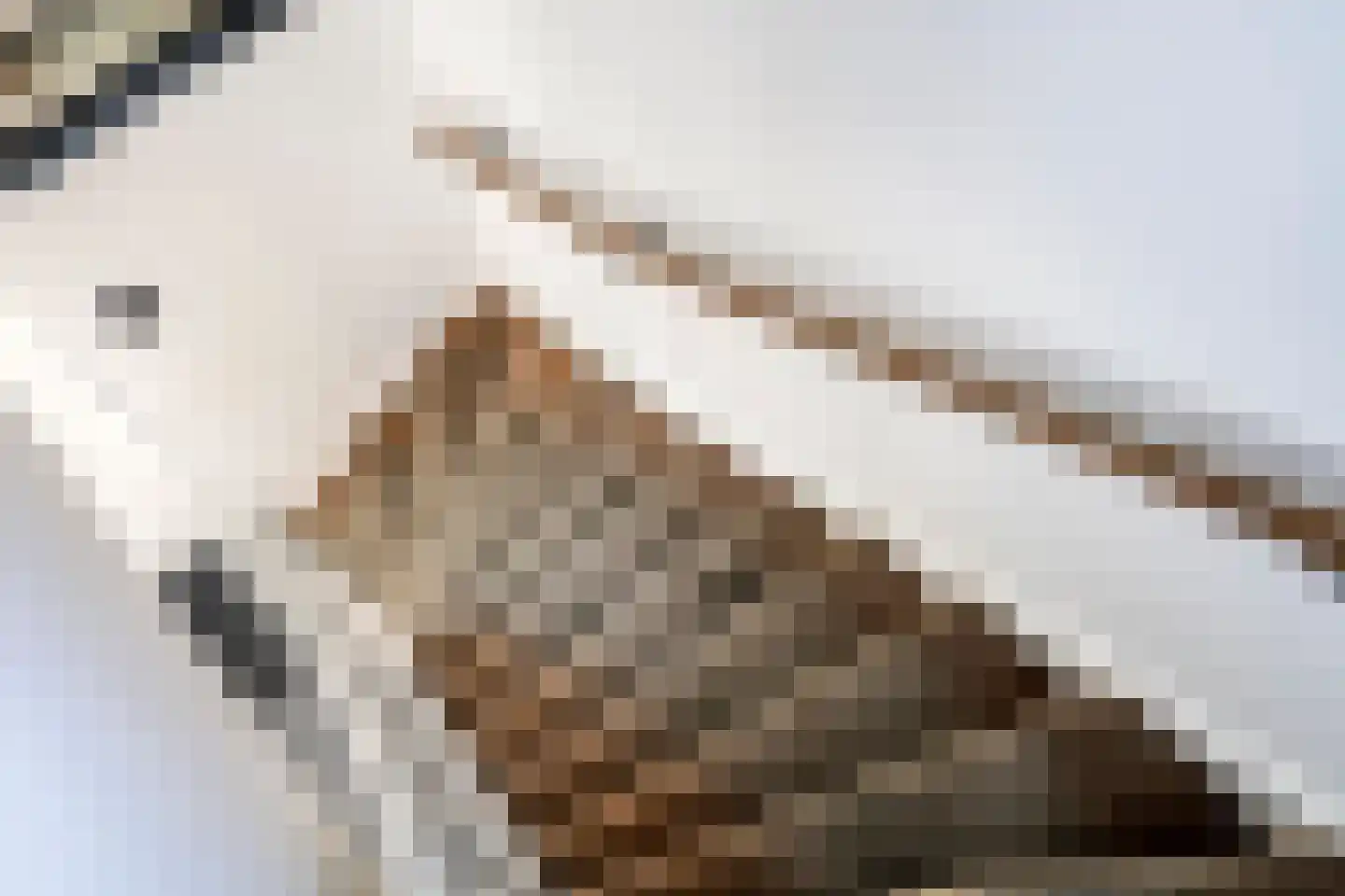 Zoelensepad 20 Tiel thumbnail 53