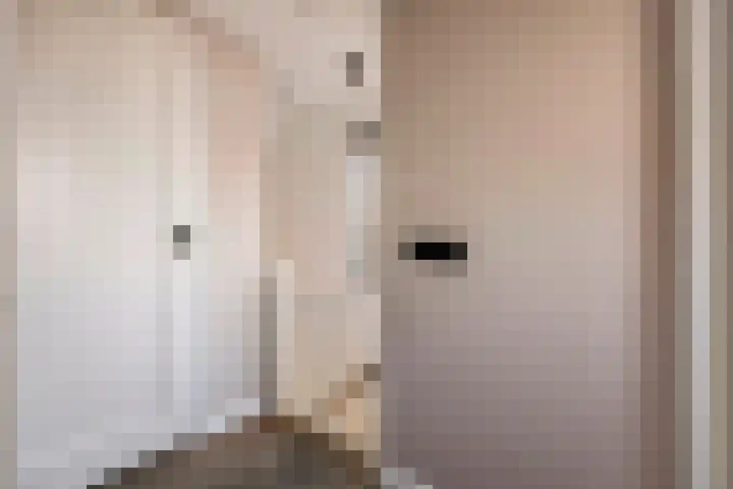 Zoelensepad 20 Tiel thumbnail 54
