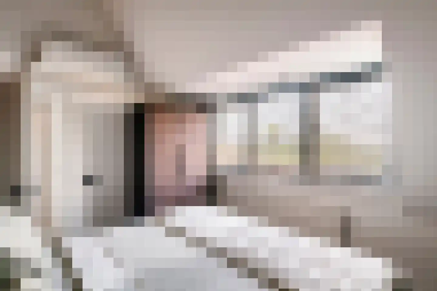 Zoelensepad 20 Tiel thumbnail 56