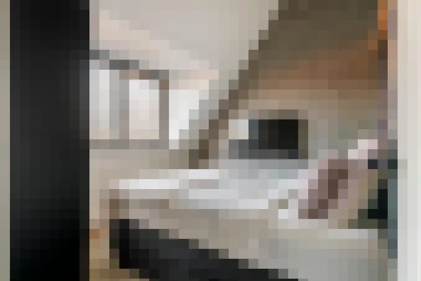 Zoelensepad 20 Tiel thumbnail 59