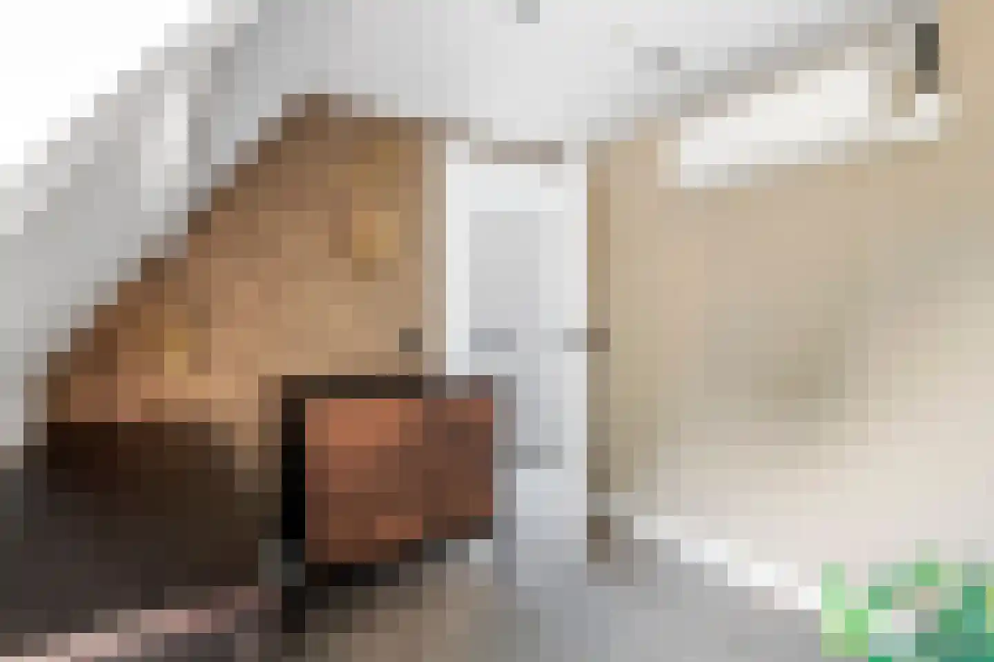 Zoelensepad 20 Tiel thumbnail 60
