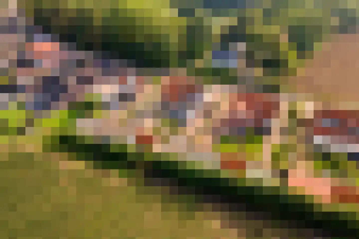 Zoelensepad 20 Tiel thumbnail 70