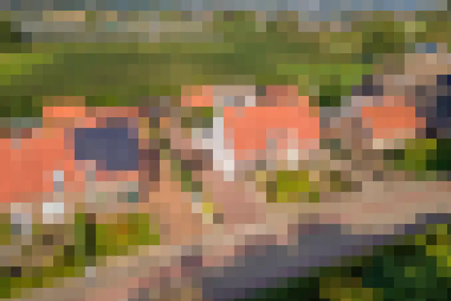 Zoelensepad 20 Tiel thumbnail 73