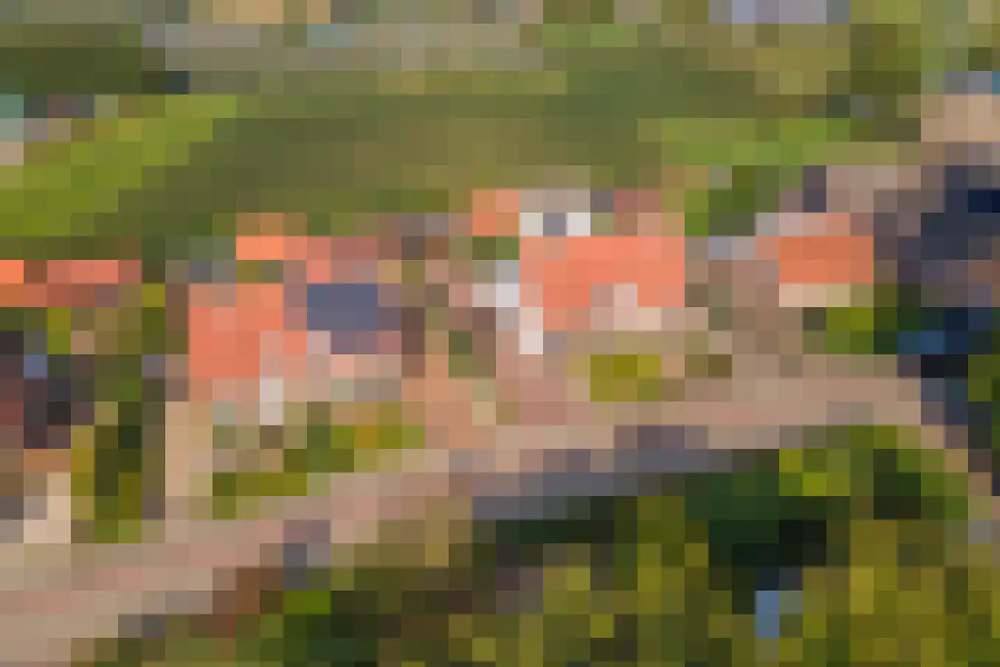 Zoelensepad 20 Tiel thumbnail 75