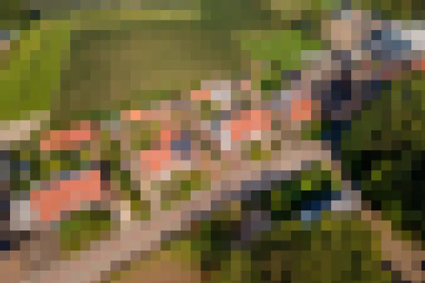 Zoelensepad 20 Tiel thumbnail 76