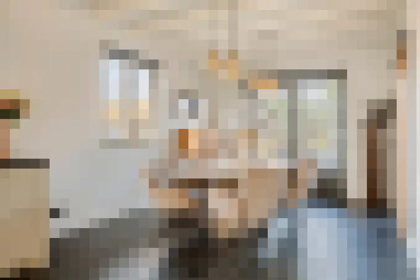 Zoelensepad 20 Tiel thumbnail 8