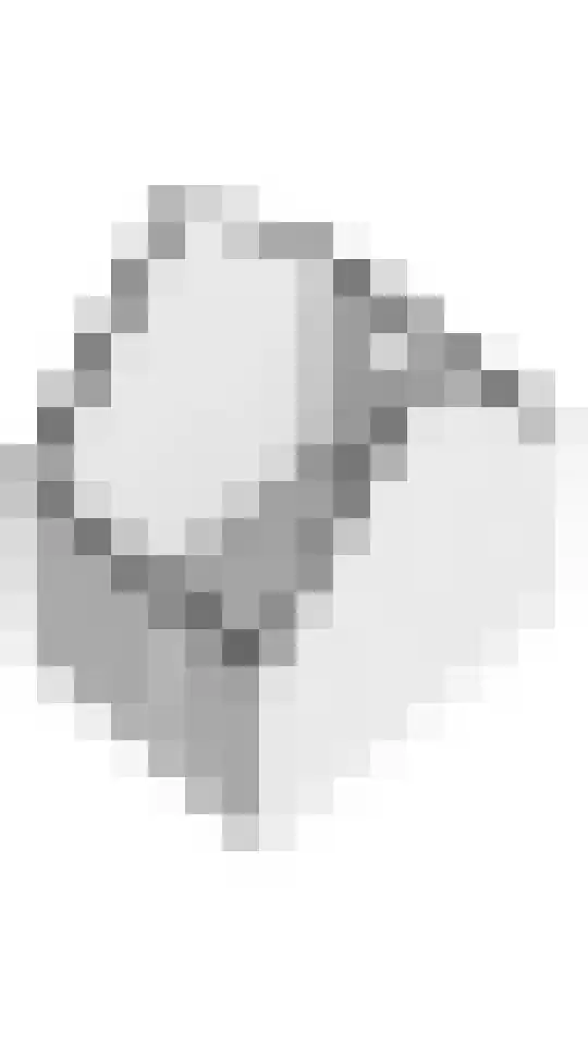 Zoelensepad 20 Tiel thumbnail 86