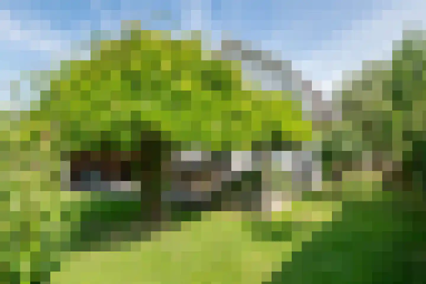 Zoelensestraat 33 Kapel Avezaath thumbnail 4