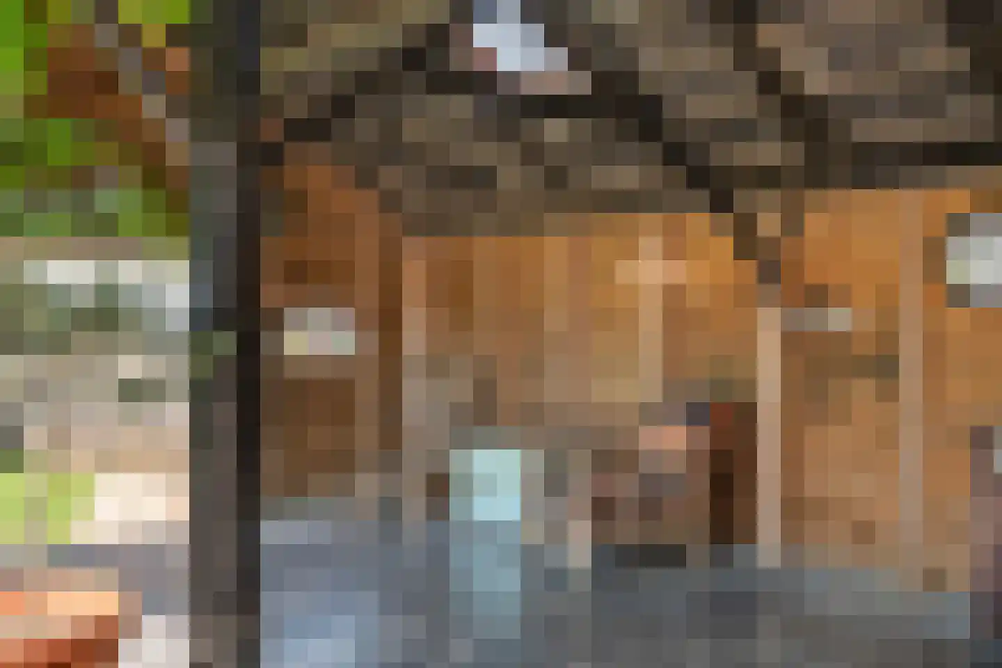 Zoelensestraat 33 Kapel Avezaath thumbnail 41