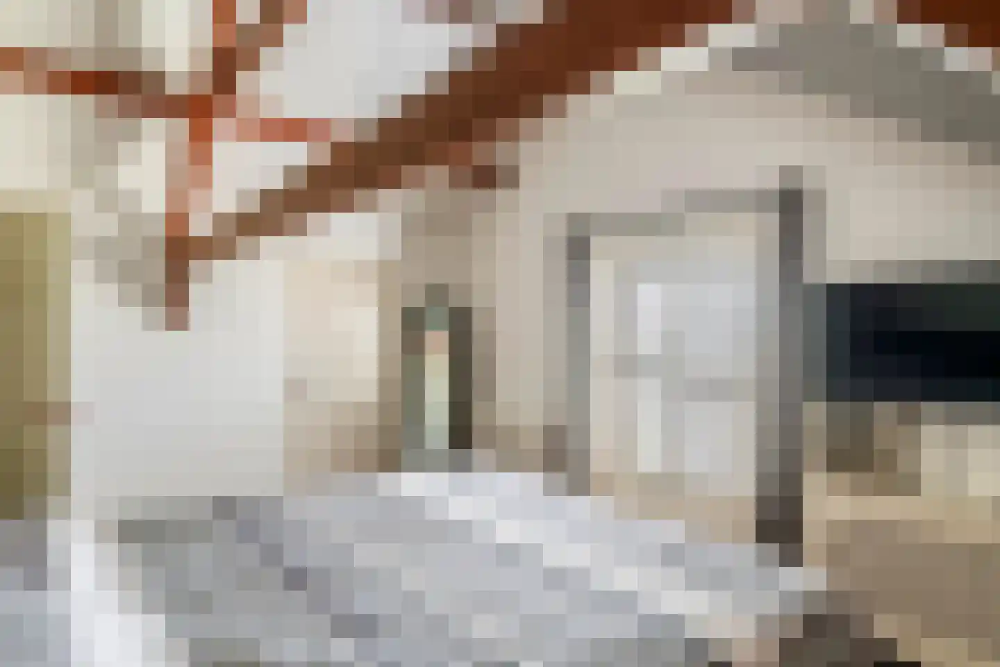 Zoelensestraat 33 Kapel Avezaath thumbnail 64