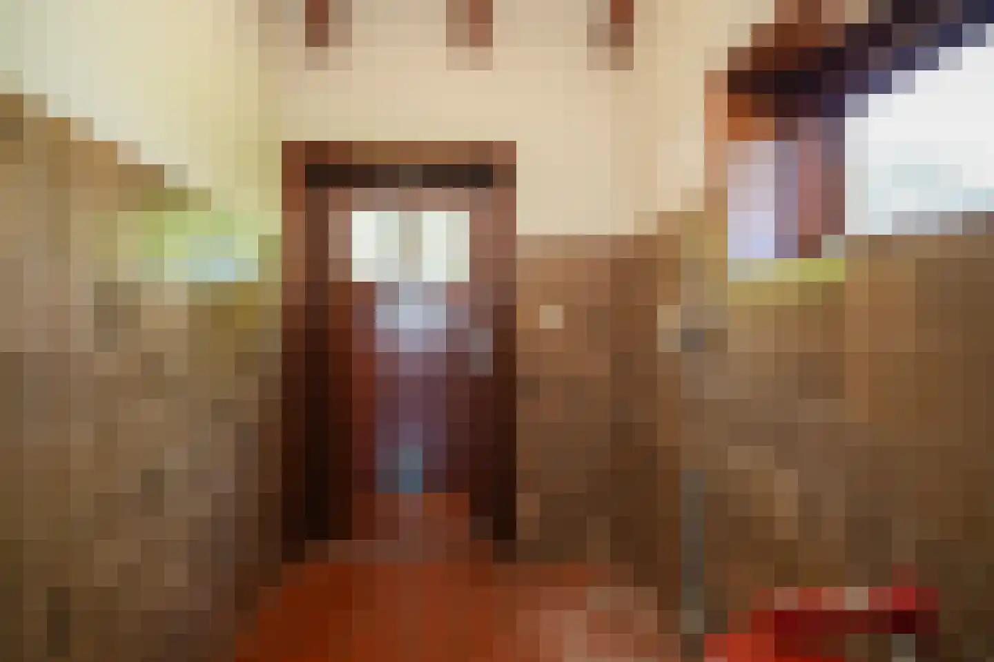 Zoelensestraatje 5 Zoelen thumbnail 19