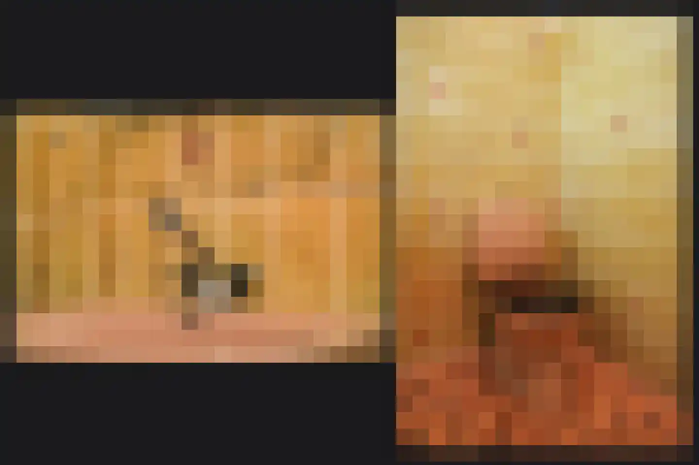 Zoelensestraatje 5 Zoelen thumbnail 32