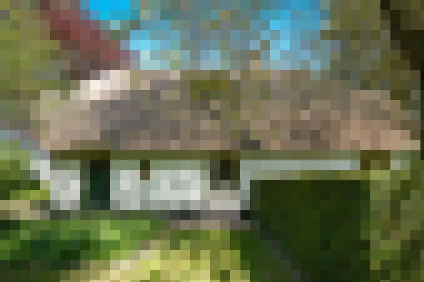 Zoelensestraatje 5 Zoelen thumbnail 33