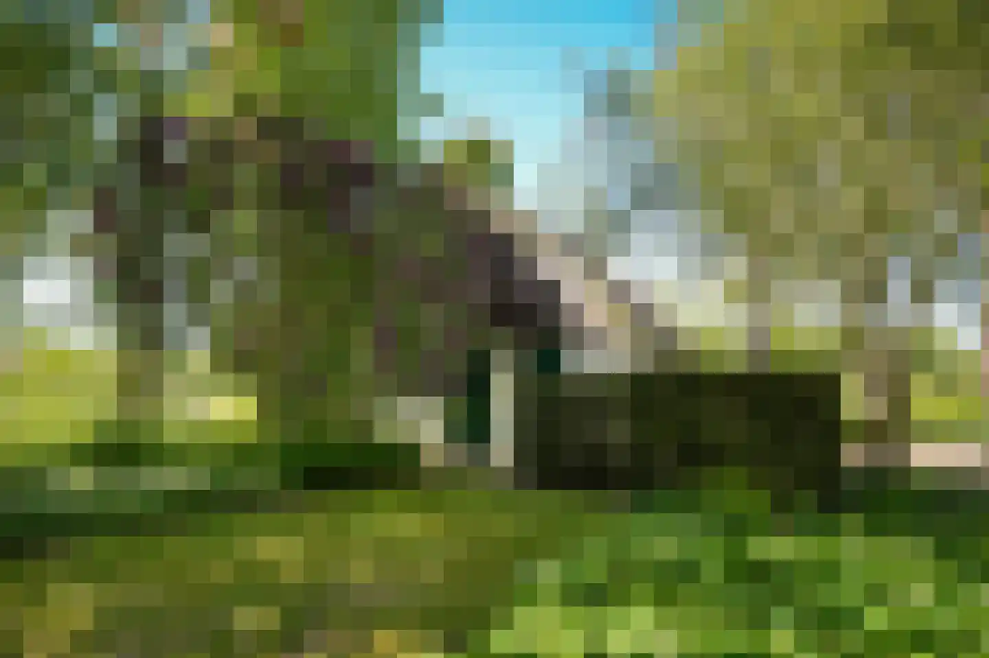 Zoelensestraatje 5 Zoelen thumbnail 35