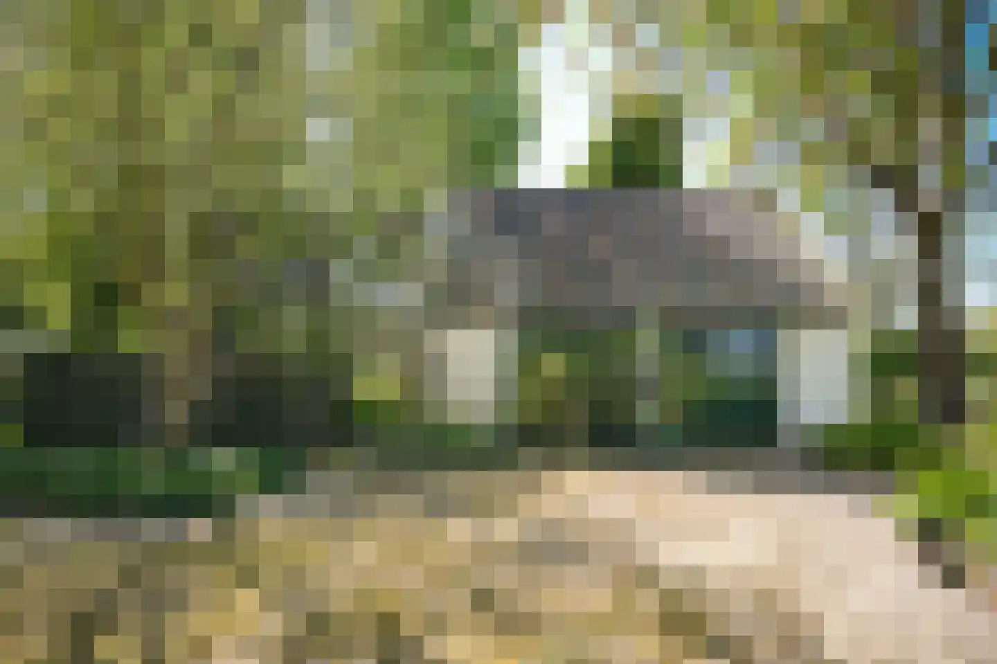 Zoelensestraatje 5 Zoelen thumbnail 36