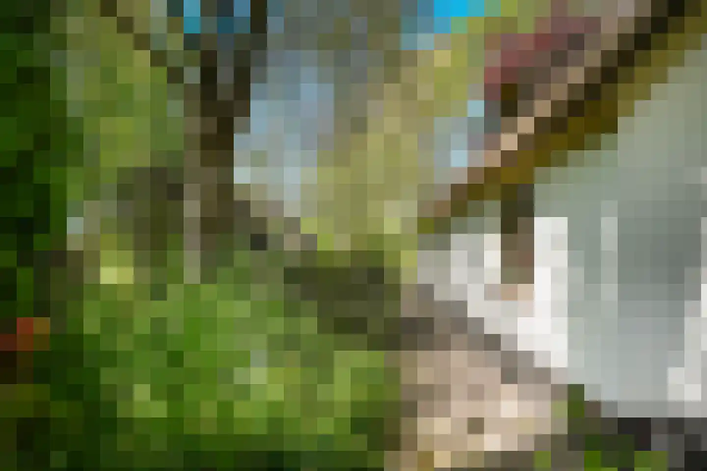 Zoelensestraatje 5 Zoelen thumbnail 38