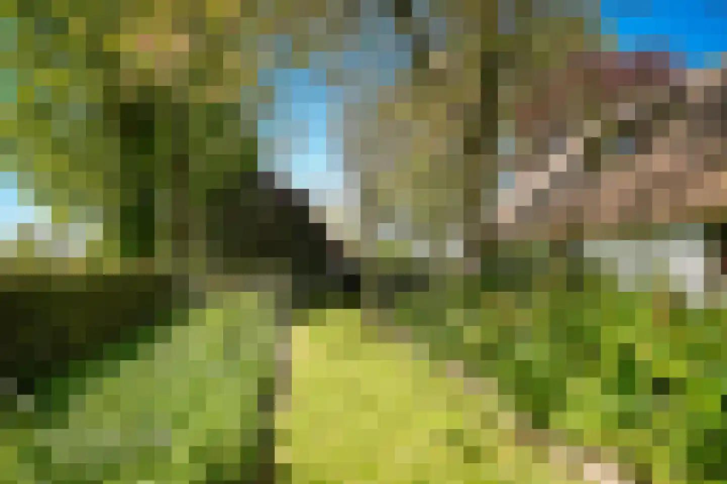 Zoelensestraatje 5 Zoelen thumbnail 39