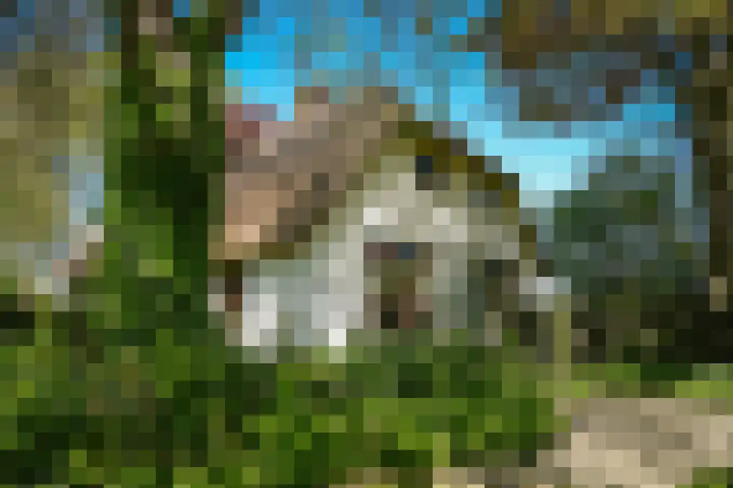 Zoelensestraatje 5 Zoelen thumbnail 4