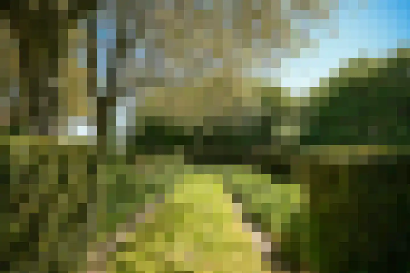 Zoelensestraatje 5 Zoelen thumbnail 40