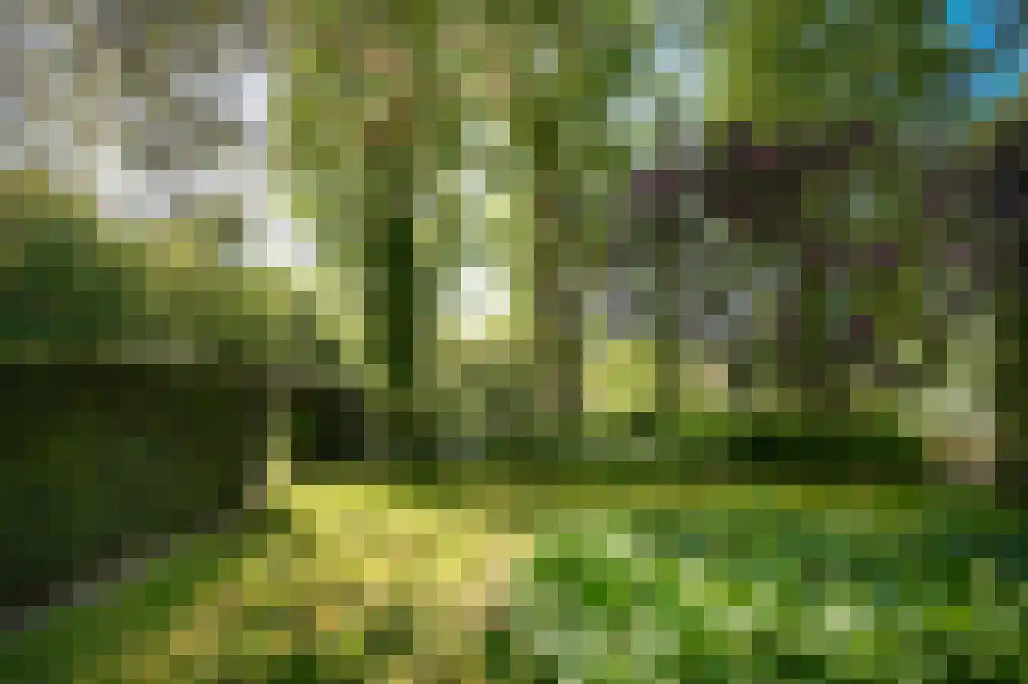 Zoelensestraatje 5 Zoelen thumbnail 43
