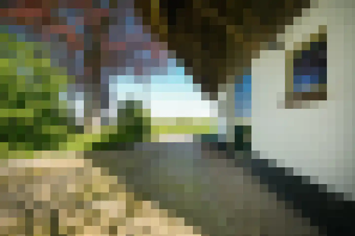 Zoelensestraatje 5 Zoelen thumbnail 46