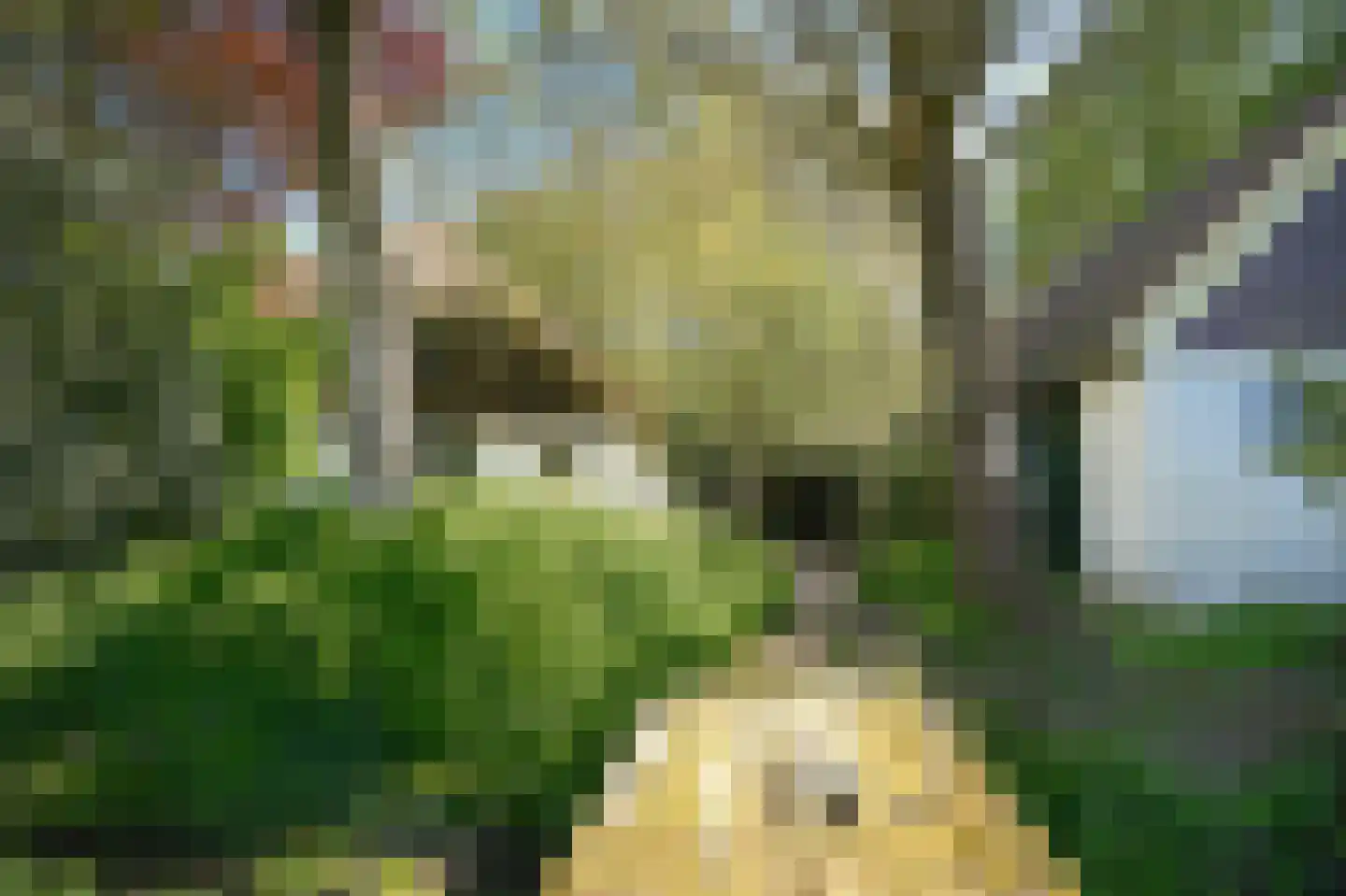 Zoelensestraatje 5 Zoelen thumbnail 49