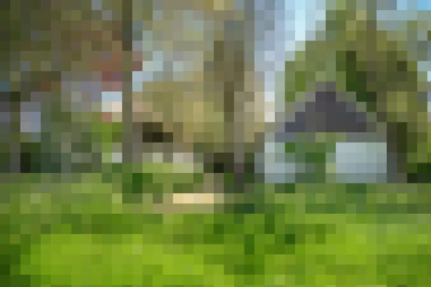Zoelensestraatje 5 Zoelen thumbnail 51