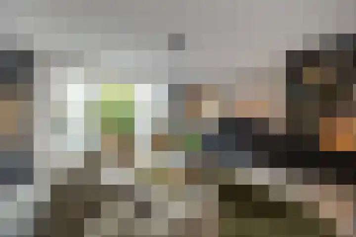 Zoemerenstraat 12 's-Hertogenbosch thumbnail 17