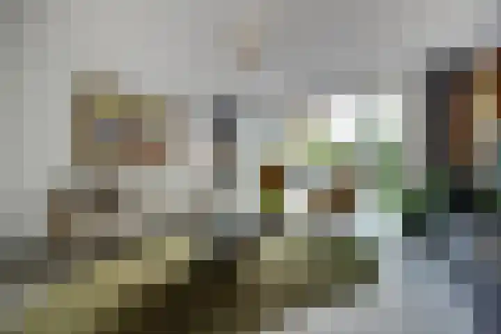 Zoemerenstraat 12 's-Hertogenbosch thumbnail 18