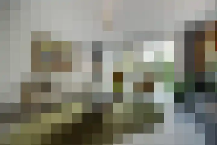 Zoemerenstraat 12 's-Hertogenbosch thumbnail 20