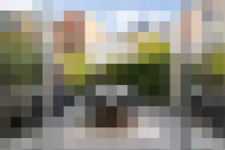 Zoemerenstraat 12 's-Hertogenbosch thumbnail 21