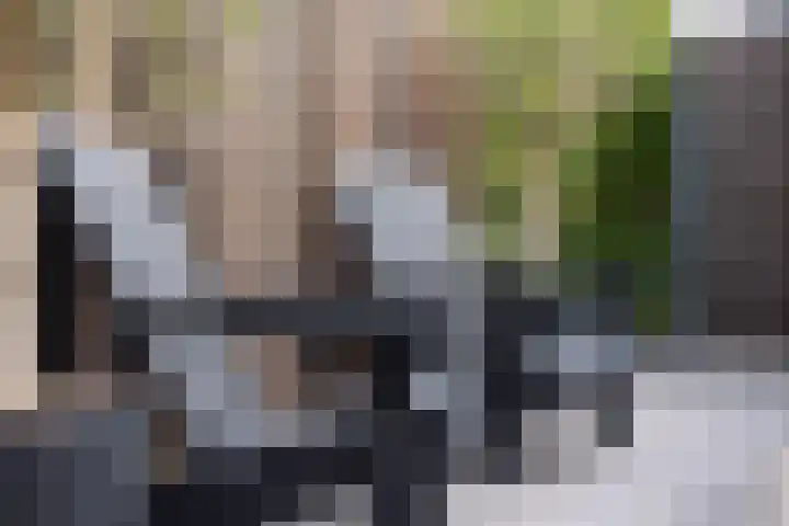 Zoemerenstraat 12 's-Hertogenbosch thumbnail 24