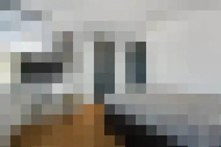 Zoemerenstraat 12 's-Hertogenbosch thumbnail 30