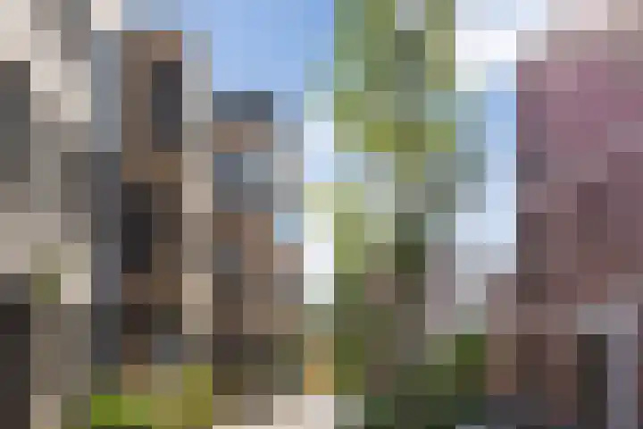 Zoemerenstraat 12 's-Hertogenbosch thumbnail 50