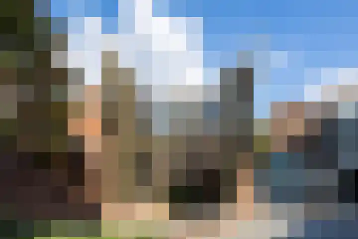 Zoemerenstraat 12 's-Hertogenbosch thumbnail 51