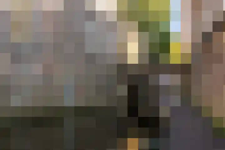 Zoemerenstraat 12 's-Hertogenbosch thumbnail 53