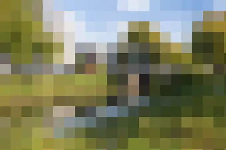 Zoemerenstraat 12 's-Hertogenbosch thumbnail 54
