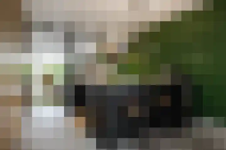 Zoemerenstraat 12 's-Hertogenbosch thumbnail 7