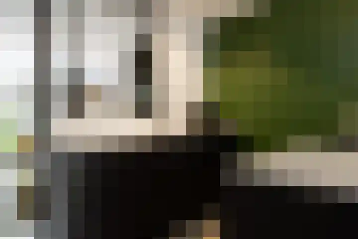Zoemerenstraat 12 's-Hertogenbosch thumbnail 8