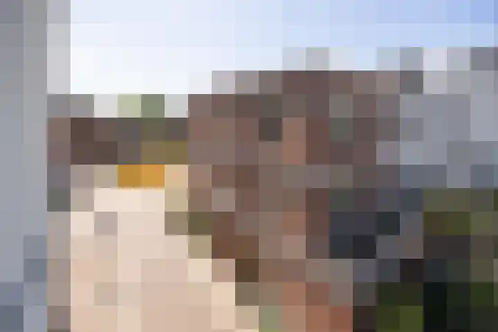 Zoemerenstraat 22 's-Hertogenbosch thumbnail 10