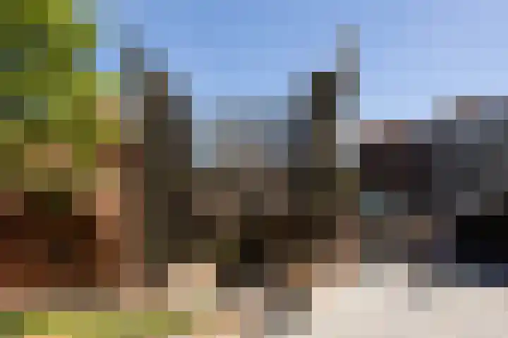 Zoemerenstraat 22 's-Hertogenbosch thumbnail 31