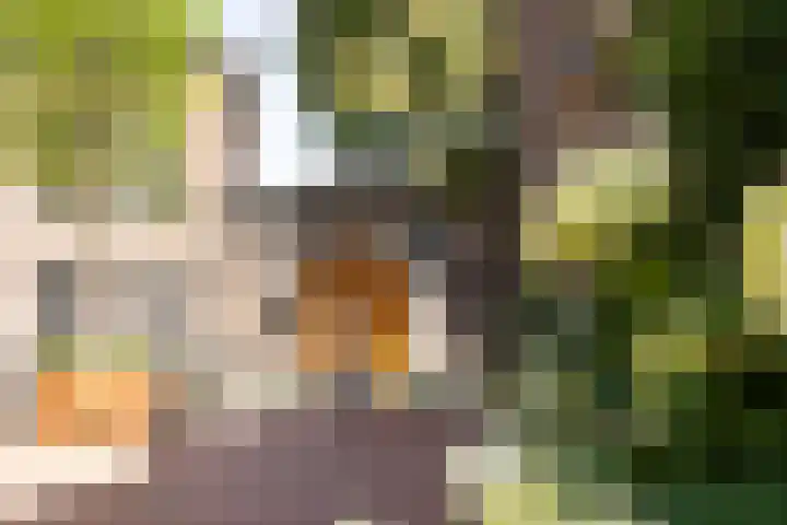 Zoemerenstraat 22 's-Hertogenbosch thumbnail 33