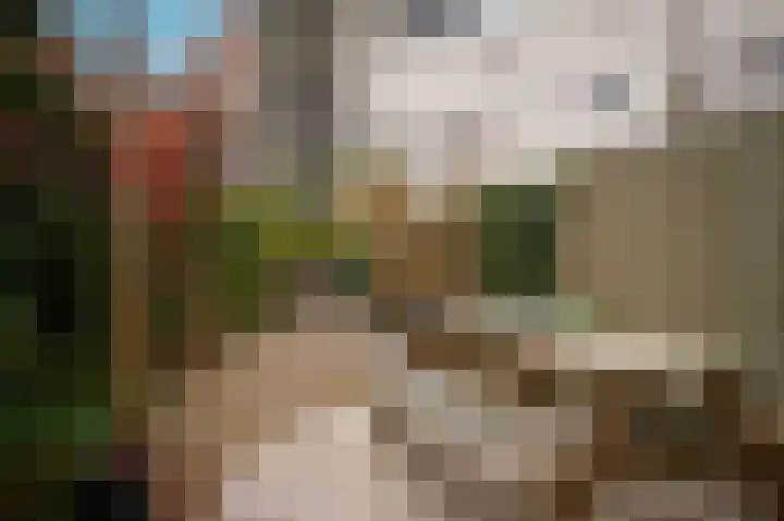 Zoemerenstraat 5 's-Hertogenbosch thumbnail 4