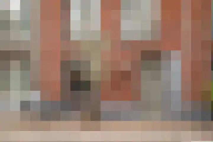 Zoemerenstraat 5 's-Hertogenbosch thumbnail 49