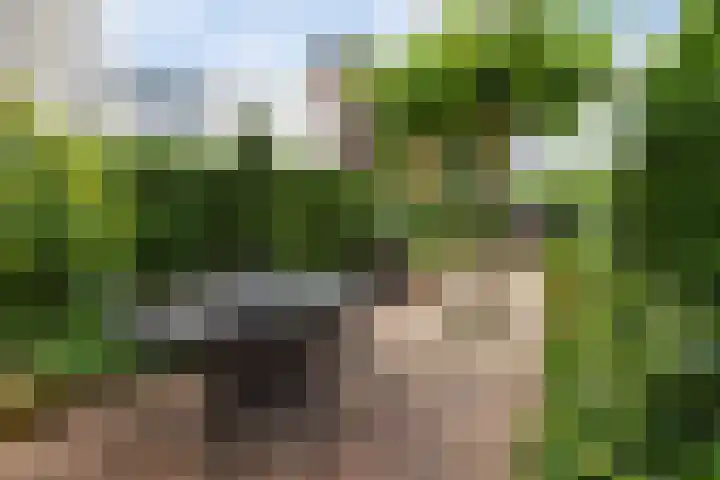 Zoemerenstraat 8 's-Hertogenbosch thumbnail 20
