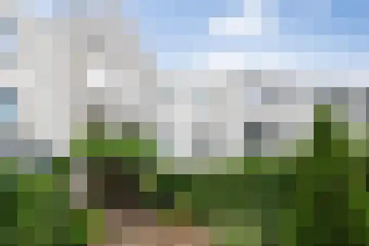 Zoemerenstraat 8 's-Hertogenbosch thumbnail 22