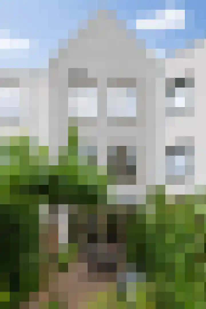 Zoemerenstraat 8 's-Hertogenbosch thumbnail 23