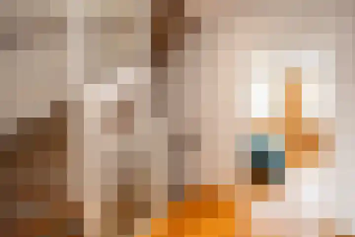Zoemerenstraat 8 's-Hertogenbosch thumbnail 31