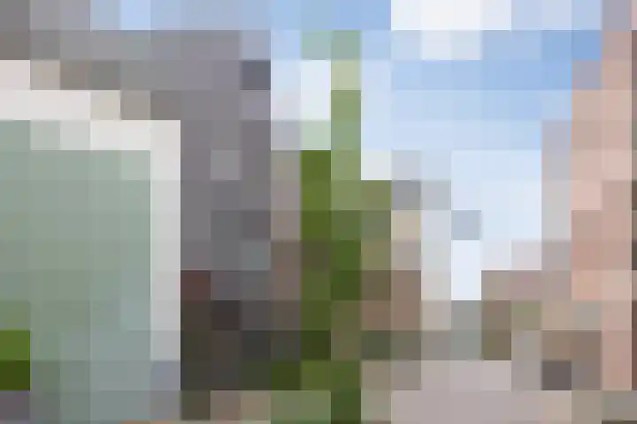 Zoemerenstraat 8 's-Hertogenbosch thumbnail 60