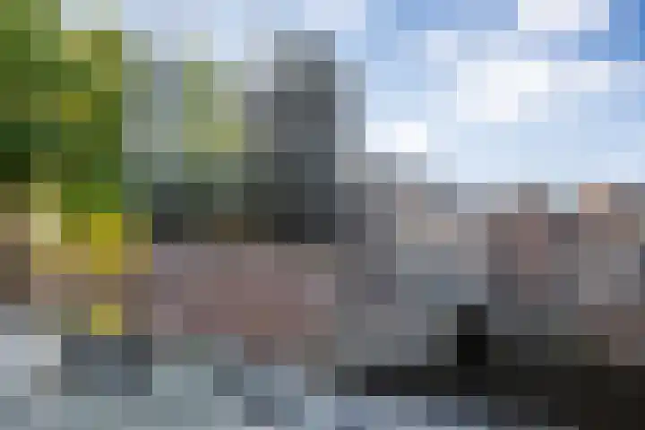 Zoemerenstraat 8 's-Hertogenbosch thumbnail 62